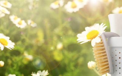 C'est le Printemps ! C'est l'heure du Grand Ménage !