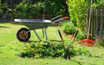 Que faire au mois d’Avril : Autour de la maison